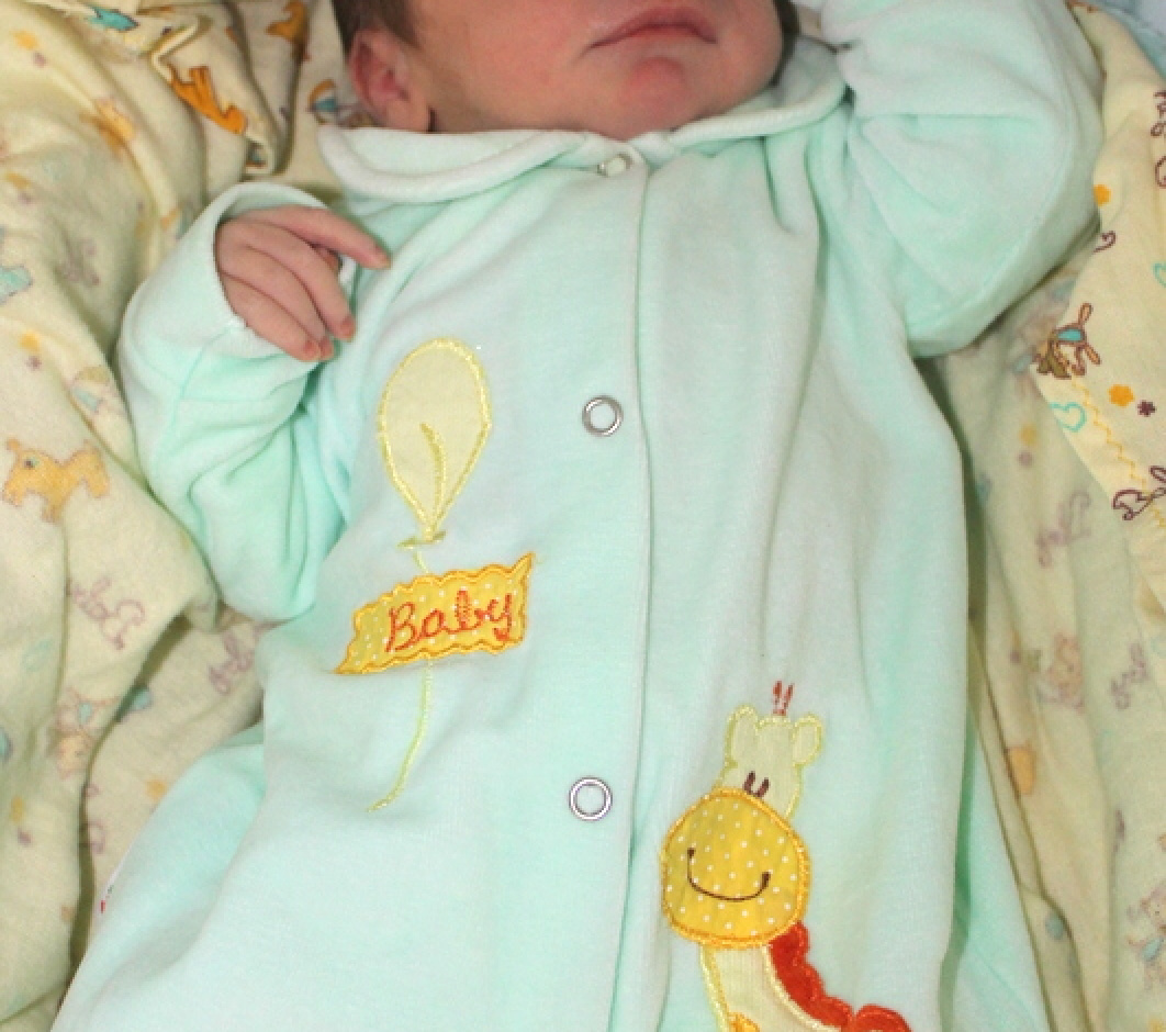 Enzo Gabriel Fernandes