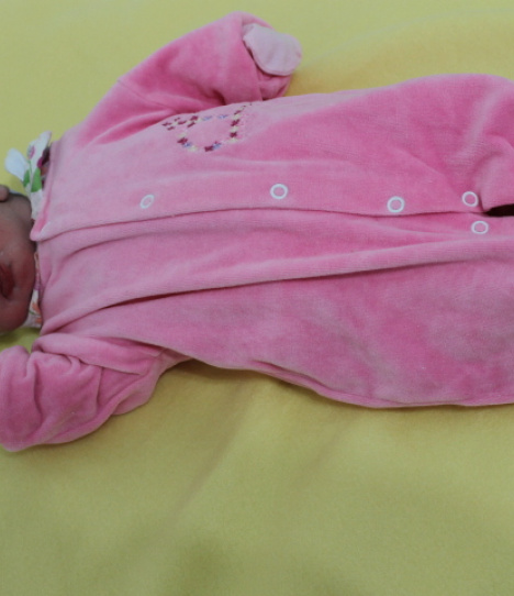 Emili Graziele Santos Amorim